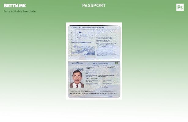 Шаблон за пасош на Естонија во модерен стил